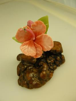 boro hibiscus